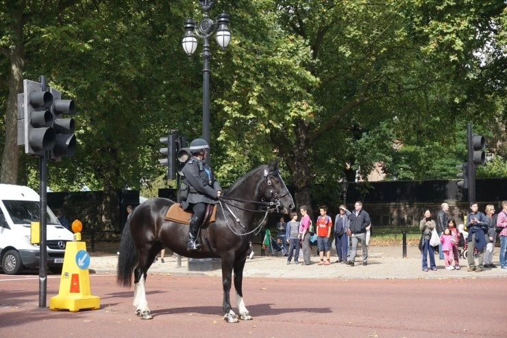 P20140815_191307000_C8C94A5D-66AA-4B5D-9678-D4A52B0A25E8.JPG?type=w1