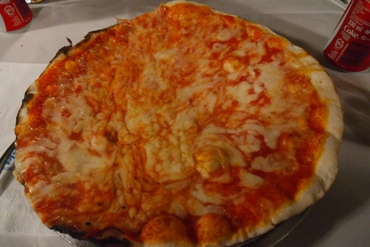 SAM_2045.JPG?type=w1