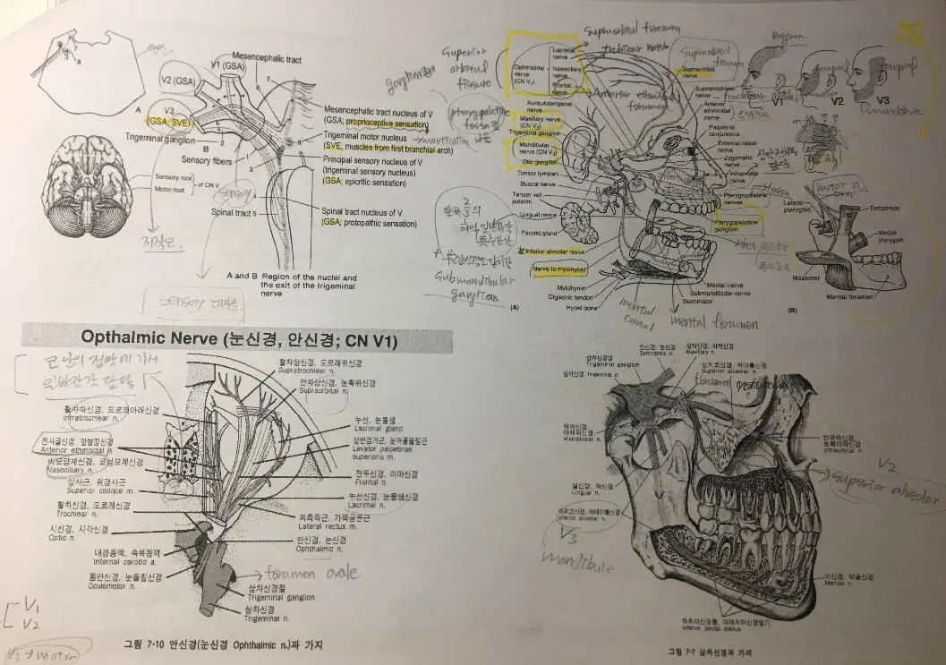 2NZlwS5JhGrspb_zJDCOqeefCIYgyE3rxa-xUax9wLn6QMb383Fw7HiQVkT4BnmVyq0vXwtl7UtF1T96ZMoS1kT1bs3r_-sCxL-ACn-JQ-RrBltjdBVvDaOkGEjkDUfpFf0Wyect8UmM3hTKZQ