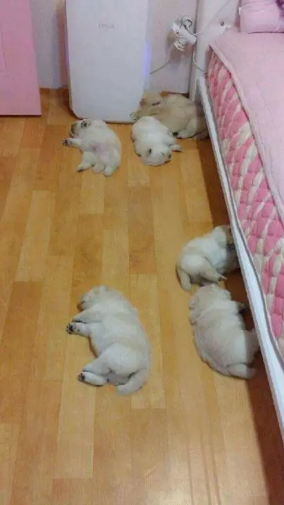 Y6AYjbWCWQHY73czg9T3SW7PMFPSEMcex6CCXX0KkWWuPtwQx-ffU0aG9UkxgluNhq8-i6YXApFjWNxNwW0Xt1JvVYjCy7pFXghL-WqGRjth-eRq3BQjRFe7UqZbiuV8prygut9g0k-H0nQpIQ