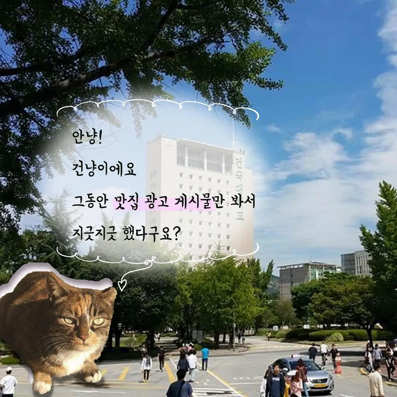 9Vo2g2qZmvvGso40VyzwNsLBCGHyTaQ1iPg1cTDIXMkm3hMP0NkXMA0ORcwRhIAss0MkBthKhPlzzW0o12t2P2uKHrH7lsPjwtERD664LK80S7ZSQAKAy4RFMh0_Zlxw2Z7zLj2X3-uTetfmKA