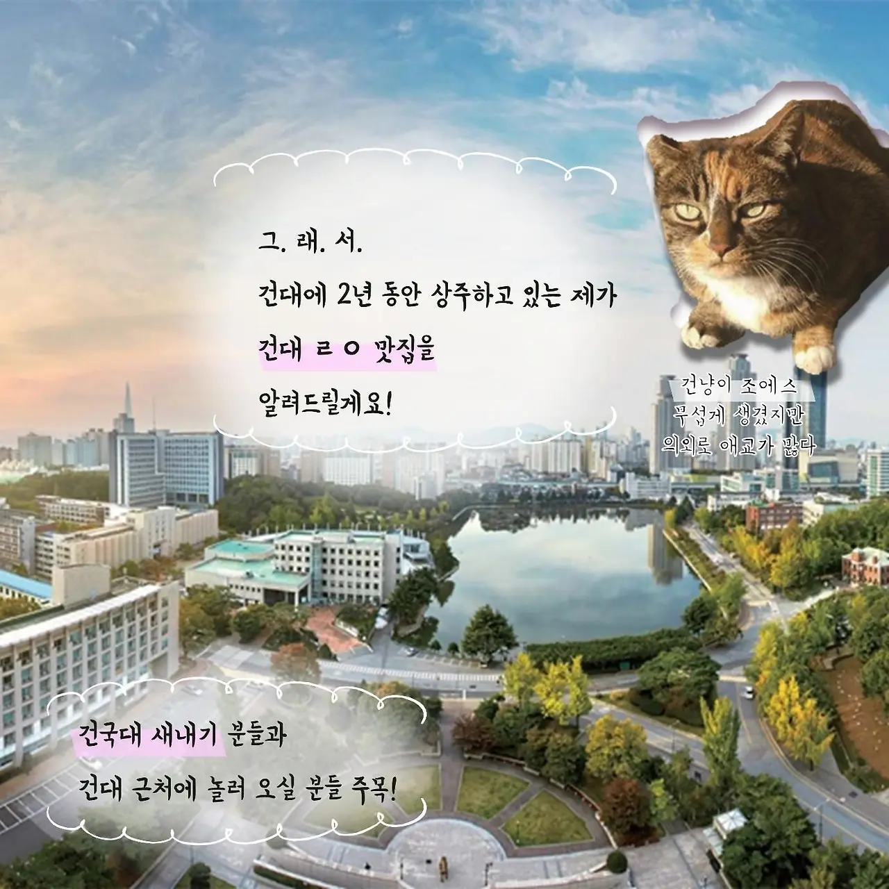 DwTXFMzM_YK255IWhccF9IM6TiweoUhbv6TQ-YBLN3-ZgQYMh-YF0pyQuCAu8sTrQU0E1QzHDaqot_Ae3M9c4KTFsxvdQMDLM1n_2JL4qy07_gVS4sv0OEeN1pBsoHqYFB79T8KvTzm-htbbBg