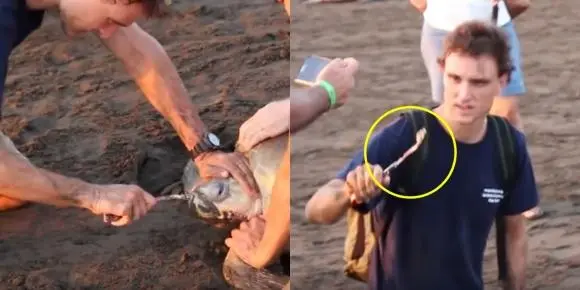 kJjvN5wbLmsjTGoT13rRm_cNCNGaeUu-H418mk7LZMpu0I9OaesqBYtmlIbPrkS5lpCmeSnNFO6Pd1-q-GQQNwVNgieeE5HaMEY1sqmDtSZzuhODzCp--pWBR0nCo70QMZG_NeDU9lZA6MjtmQ