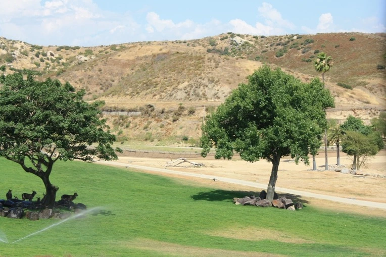 192120434E12AE75192E81