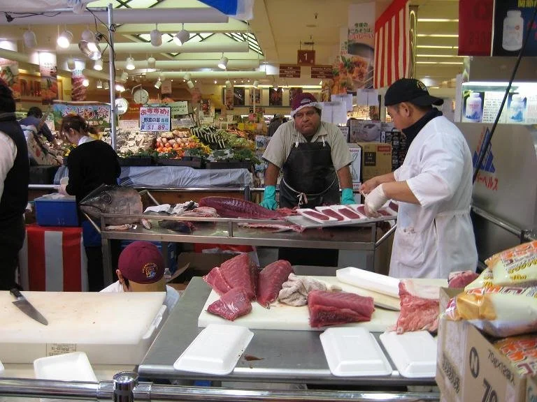 2670973954D5266F16E016