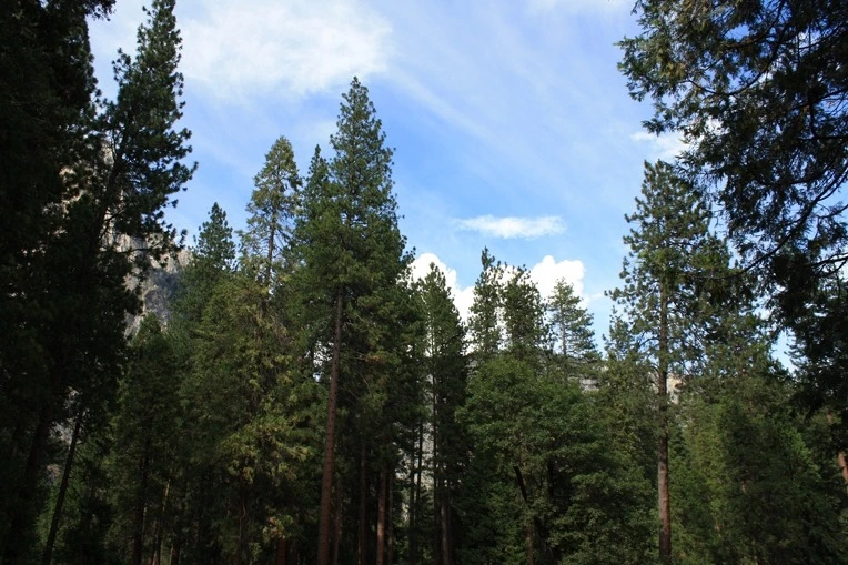 190D60544E38E9C12A961A