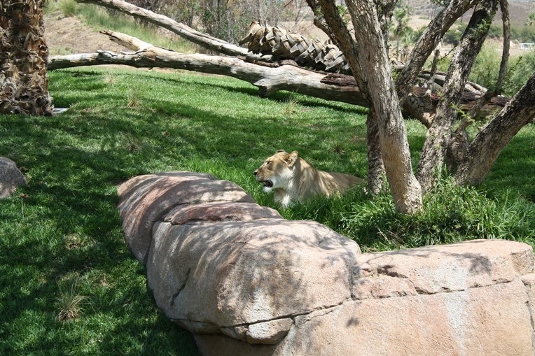 131DD1434E12ADEC1C8254