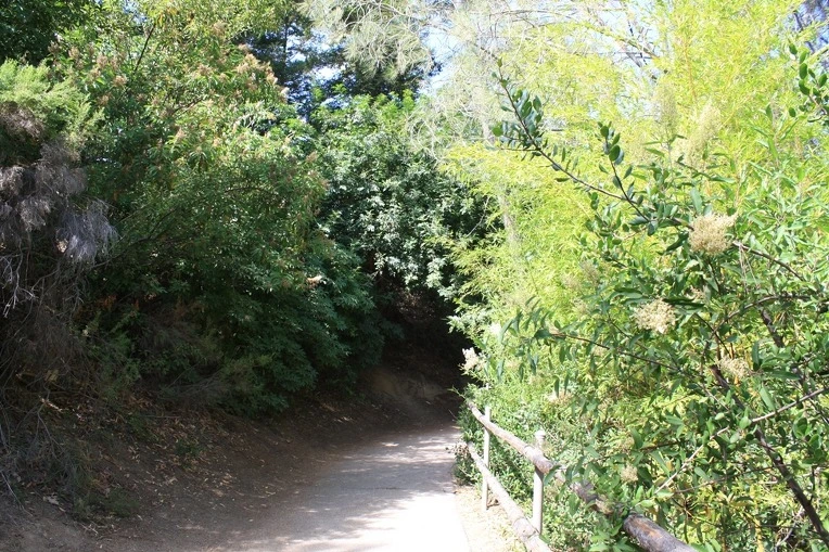 1205763F4E12AEFE1D2698