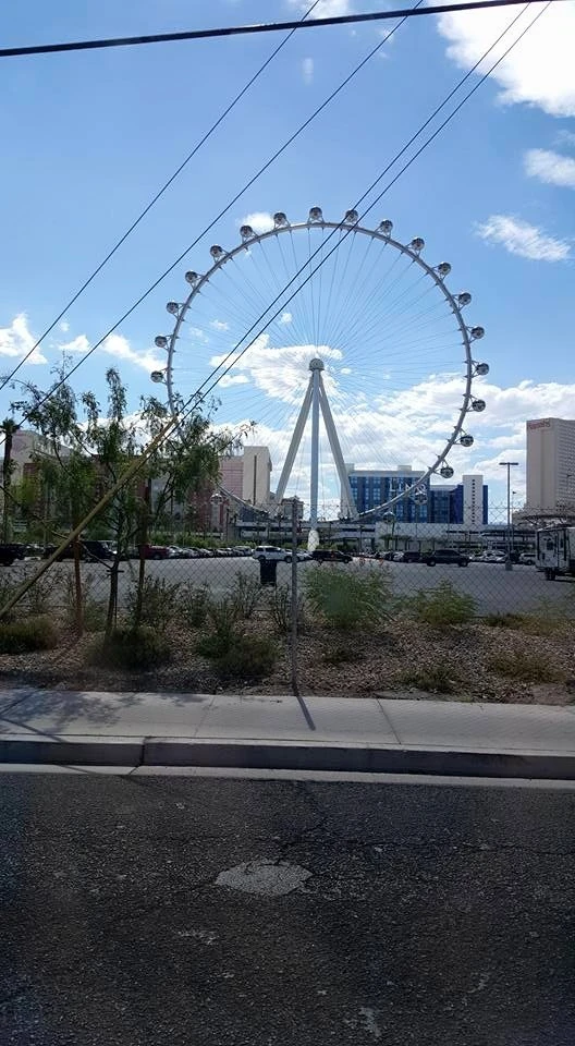 2301D13C55B287EF14E1E6