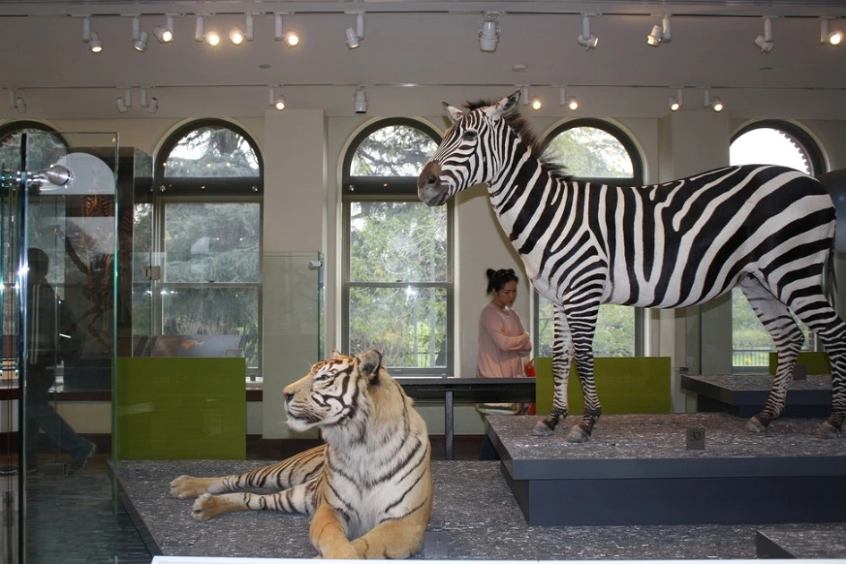 2419373954B35B8935E540