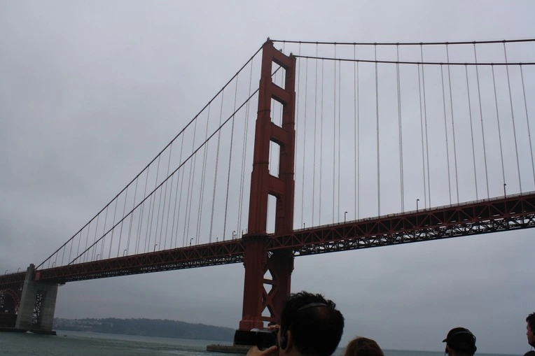 185161554E38E83828FEAD