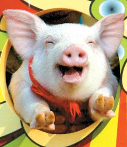 2177684E5615A7231E32FD