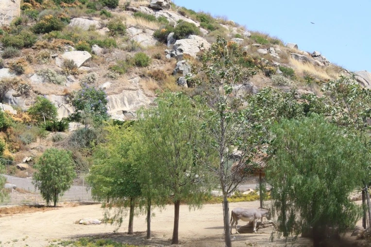 142117434E12AE6519ADC2