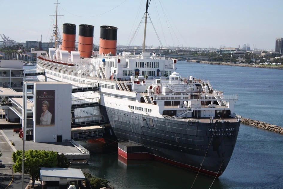 155D9633504DF7201CC8A3