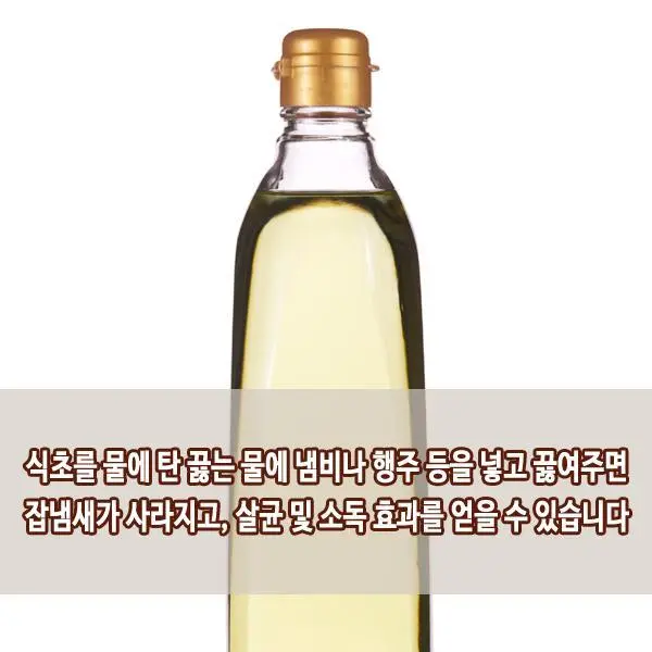 226BDD3954F61F7518E026