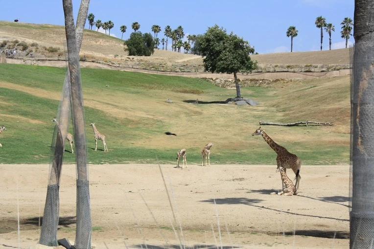 183DBD404E12AE7E0D52D6