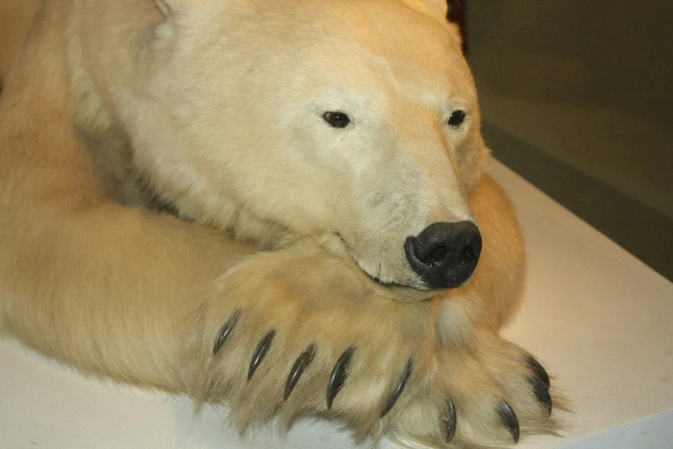 2116193954B35B913C6577