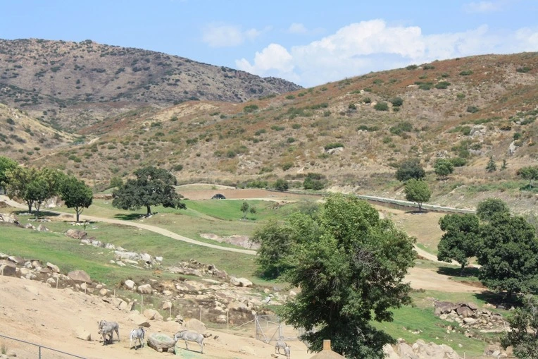 1127B1434E12AE7013059D