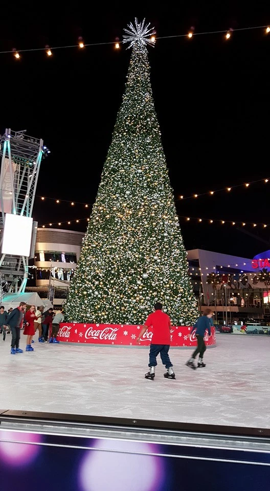 247C7F4D5660D62F1C5E32