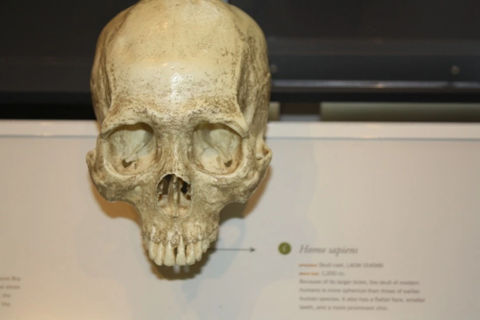 212DFC3954B35B8F0C605D