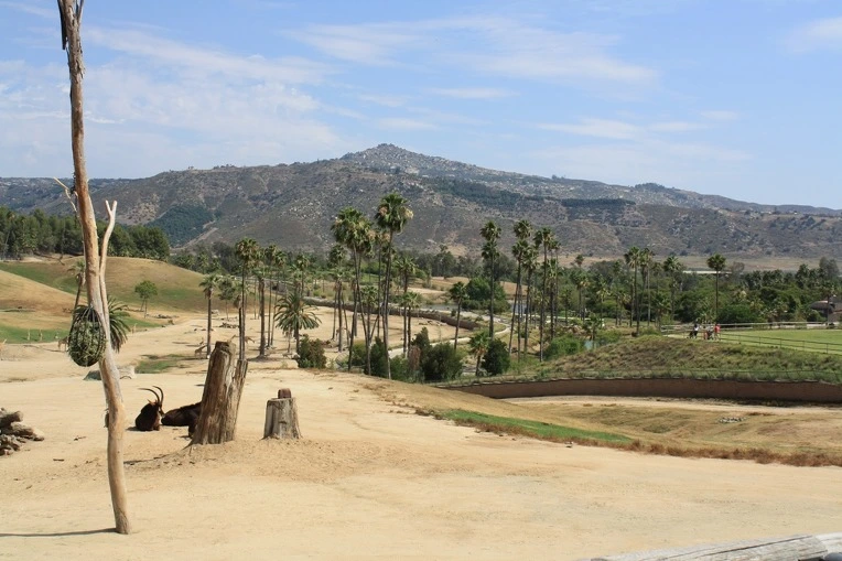 15046C3F4E12AEEF1F1CEE