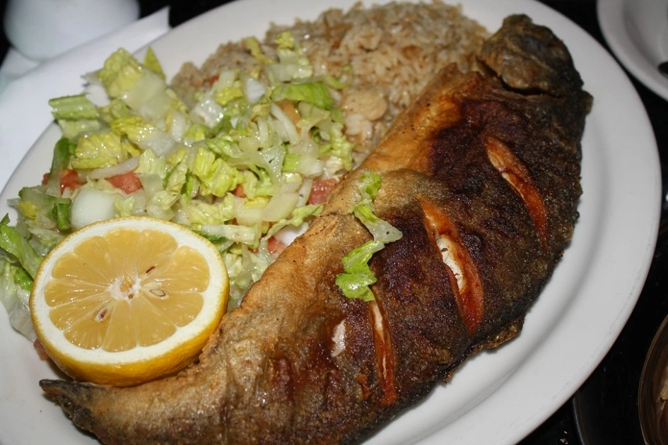 2121F8345300378E158BA2