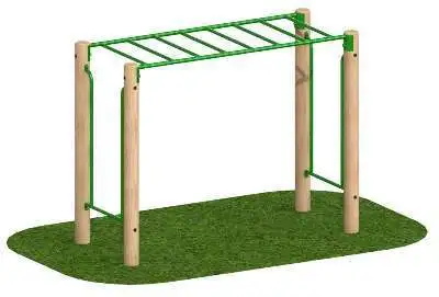 244C4F445696D24C21CA09