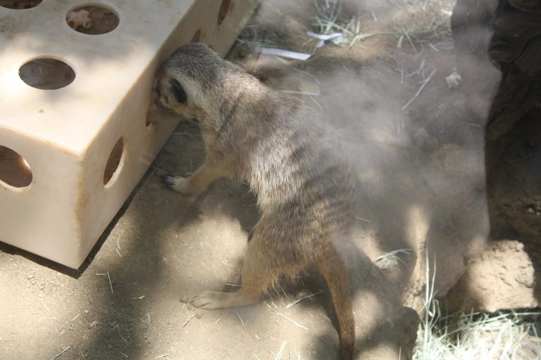 201BC8434E12ADE11DAA22