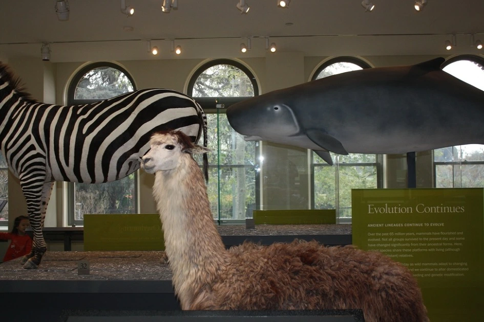 257E343C54B35B861E85D1