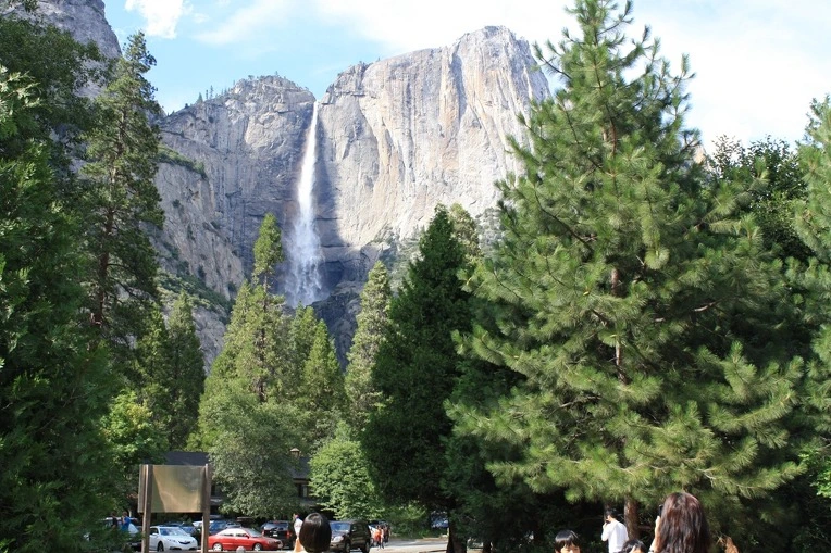 180DC9544E38E9B710C799