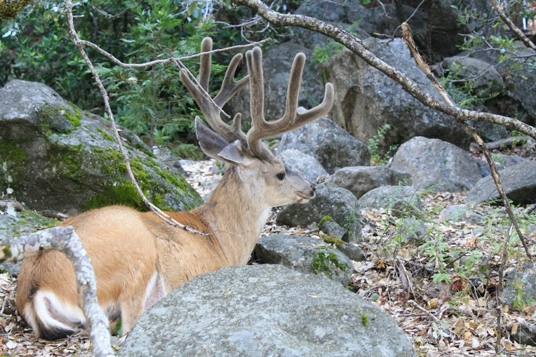 120A49544E38E9D431C36D