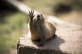 2158F0425696DA54018654