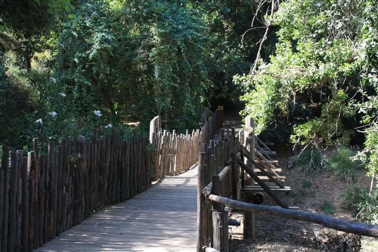 1802C73F4E12AF0423D5FE