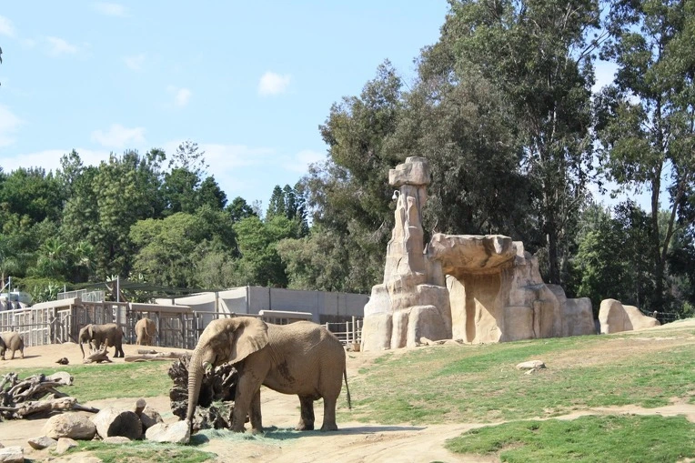 1703063F4E12AF0F23D5F0