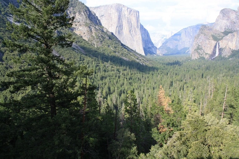 1256B5534E38EA5813B09D