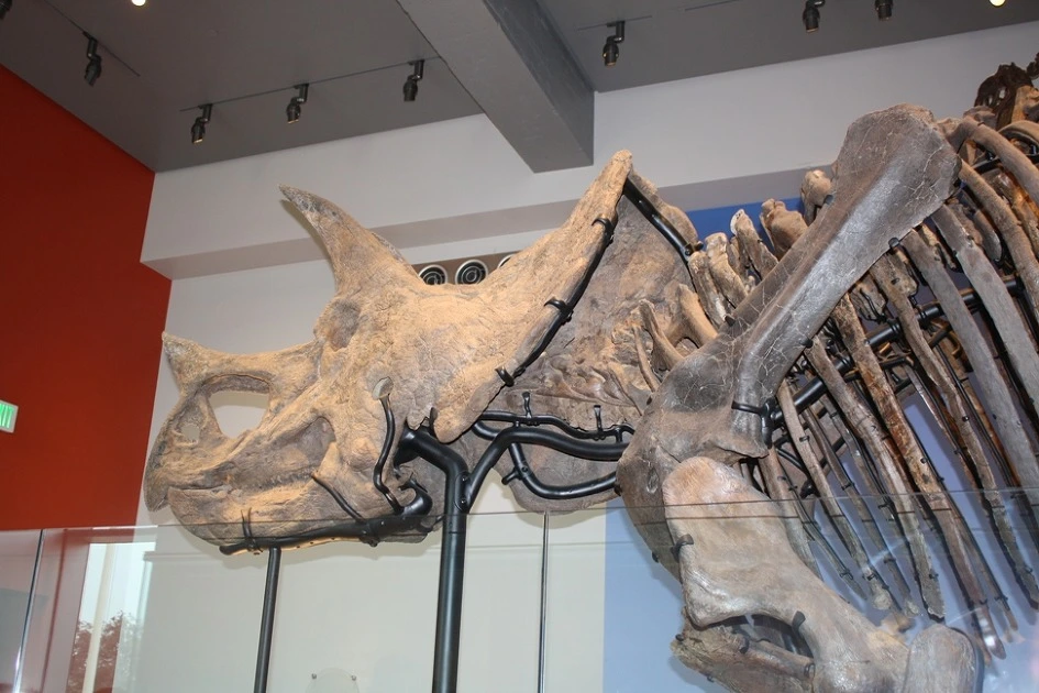 227B9D3C54B35B7B21D4BB