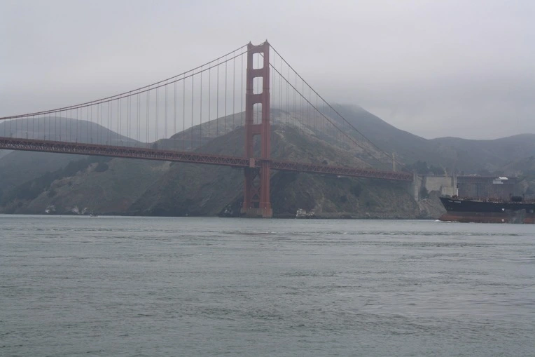 150B7D544E38E805202954