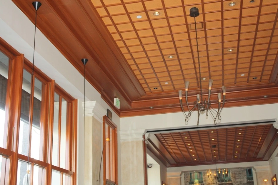 231FE543532E6DBD2C7AF2