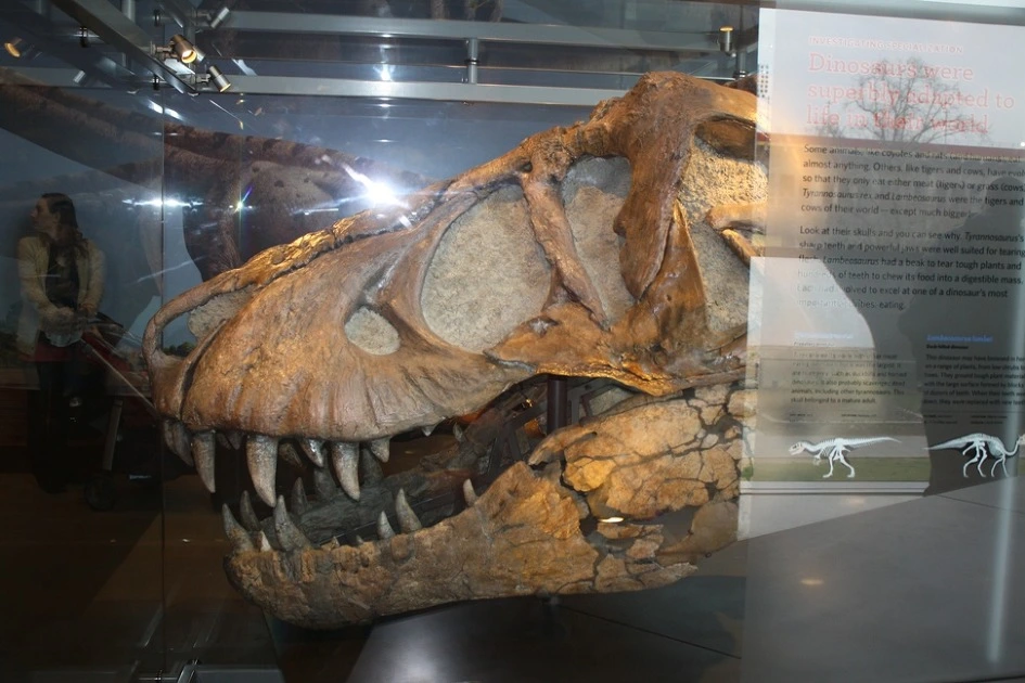 22079F3C54B35B7810AD3D