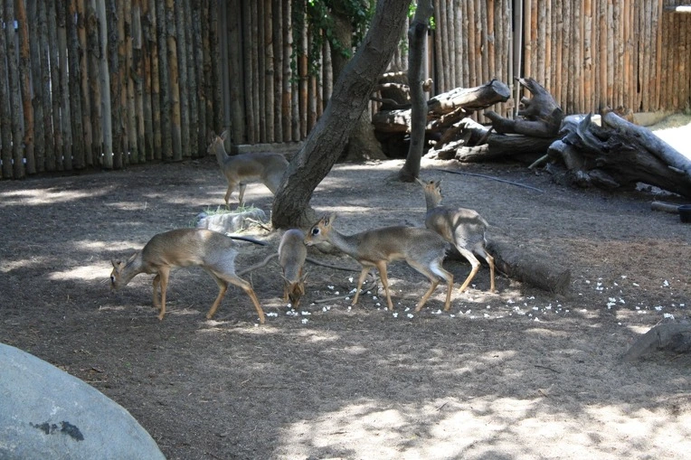 121863434E12ADE6244C5A