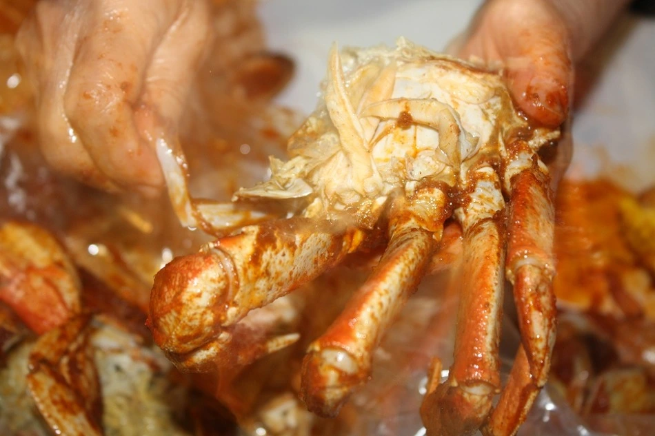 27772C38551727B80E3C0C