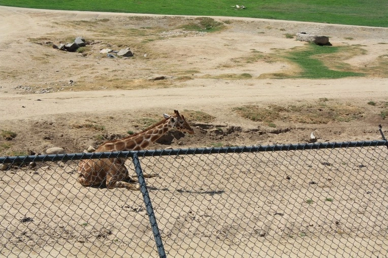 181935434E12AE5B2305F5