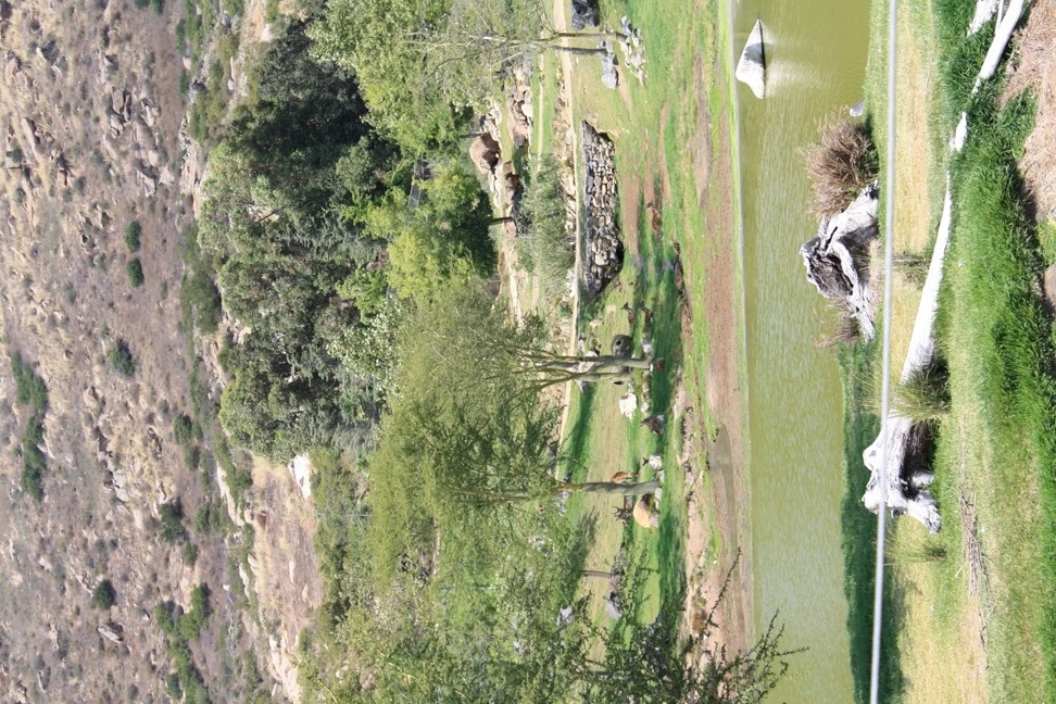 162B87434E12AE6A06F38A