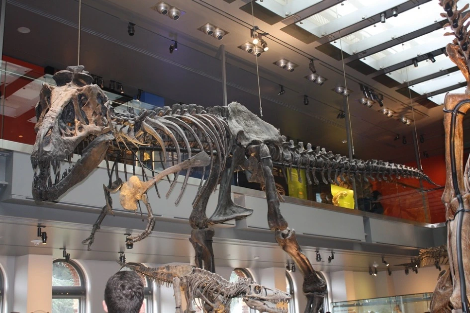 267F993C54B35B841CFF43