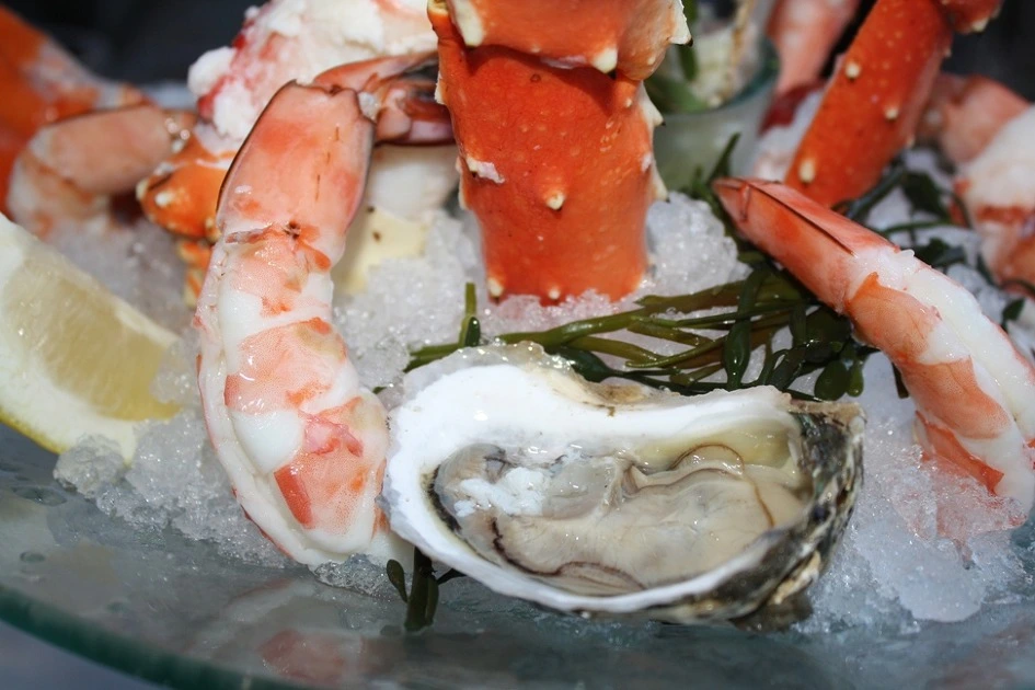 251A04475431C7243282B2