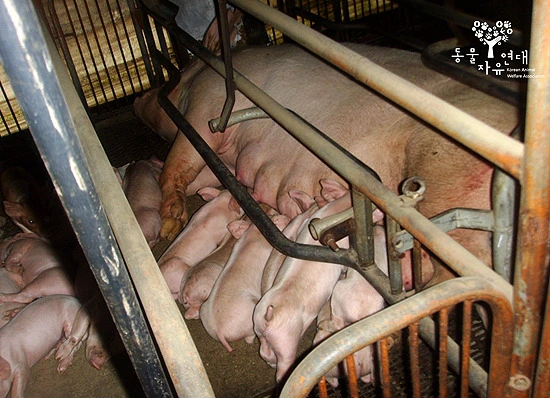 24374E405615A6BD1632F2