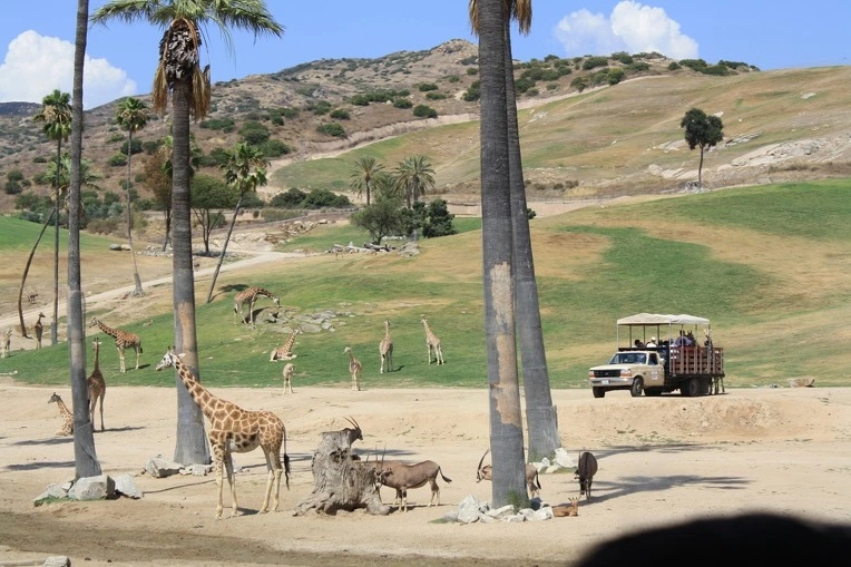 14227F434E12AE791FAAF5