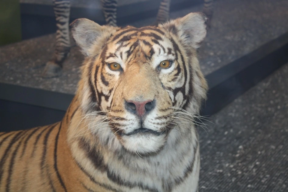 232B373954B35B8B118693