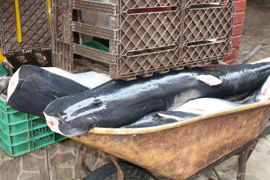 157A414D504E0163306451