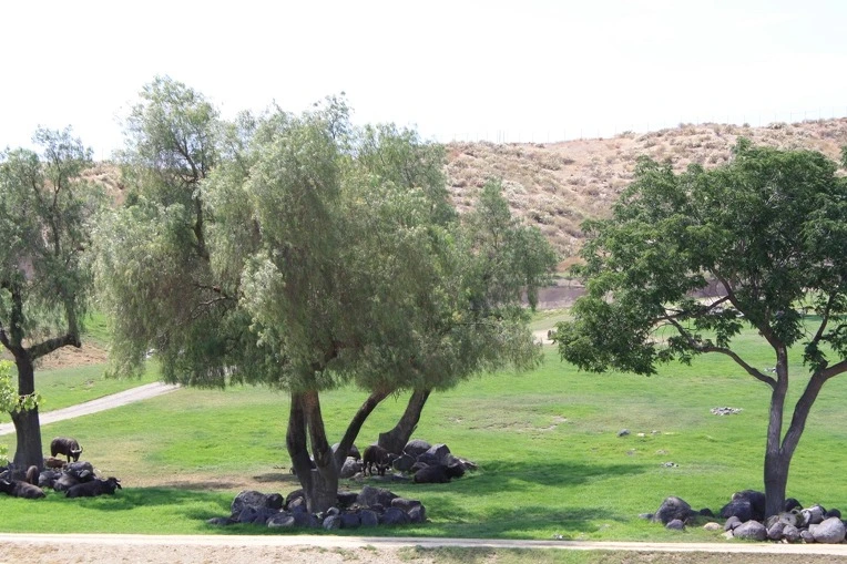 161A5C434E12AE5F234FAD